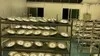 Rygh 80W OVNI Highbay Supply Hall Bay LED Light NSF Food Light para Área de Processamento de Alimentos da Fábrica