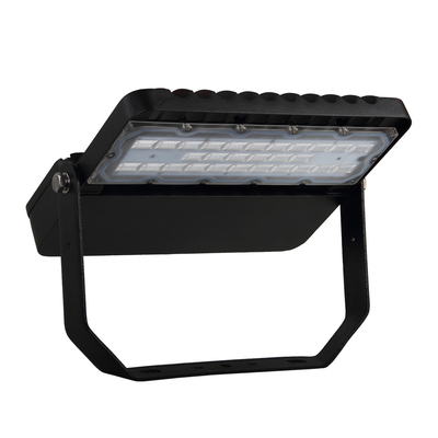 Motorista alto de alumínio de poupança de energia do lúmen IP65 100W MEANWELL da luz de rua do diodo emissor de luz 10KV